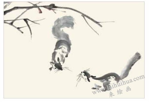 小松鼠国画的画法步骤三