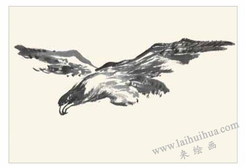 老鹰的国画画法 步骤一