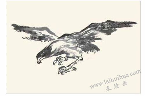 老鹰的国画画法 步骤二
