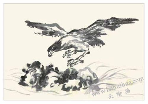 老鹰的国画画法 步骤三