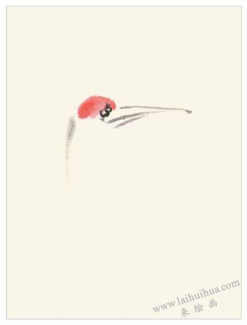 仙鹤的国画画法 步骤一