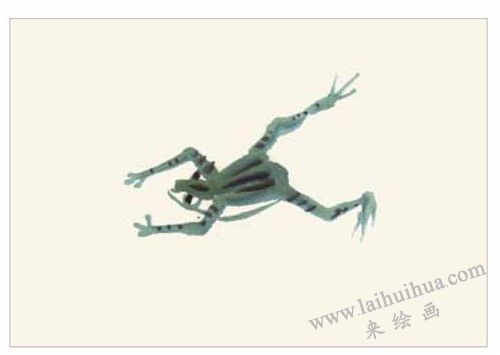 青蛙和蝌蚪的国画画法  步骤一