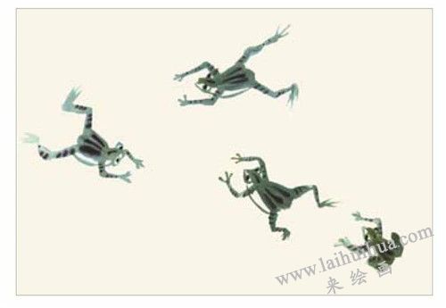 青蛙和蝌蚪的国画画法  步骤二