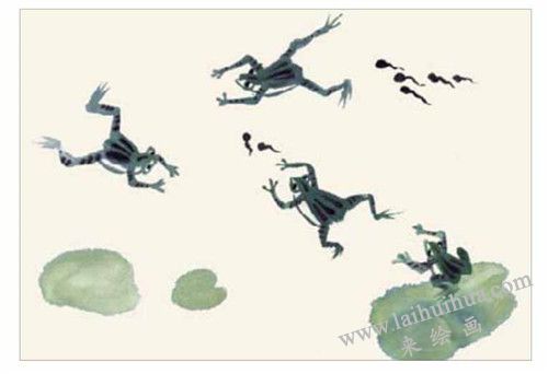 青蛙和蝌蚪的国画画法  步骤三