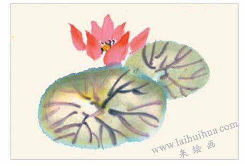 荷塘荷花的国画画法  步骤二