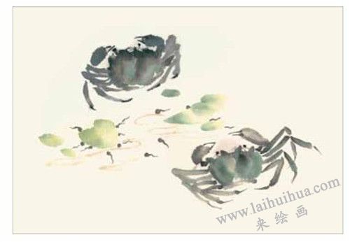 螃蟹的国画画法  步骤二
