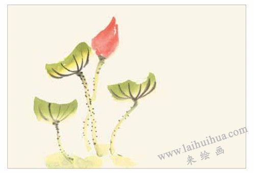 小蝌蚪的国画画法  步骤二