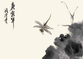 荷花与蜻蜓的国画画法