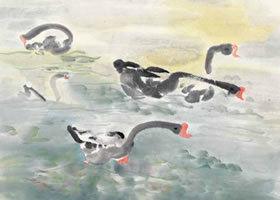 自在的天鹅国画画法