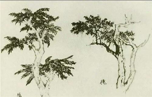 椿树的国画画法