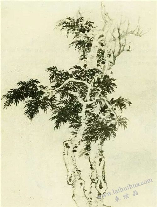 椿树的国画画法