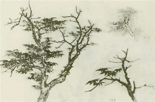 枫树的国画画法