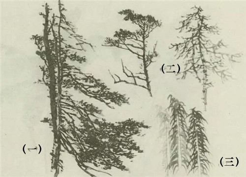杉树的国画画法