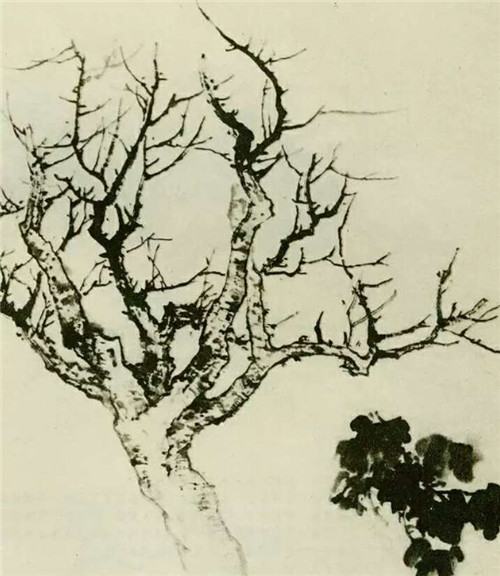 梧桐的国画画法