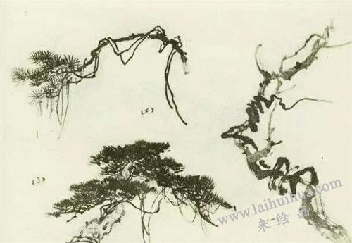 藤蔓的写意画法