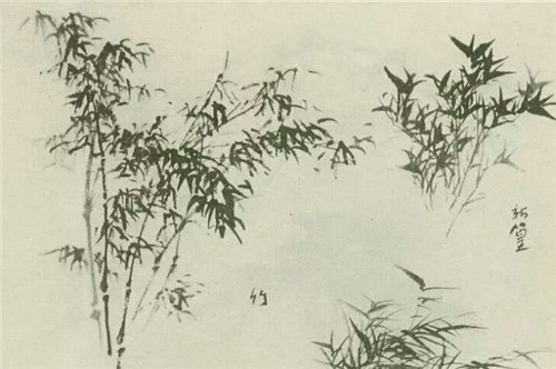 竹子的画法