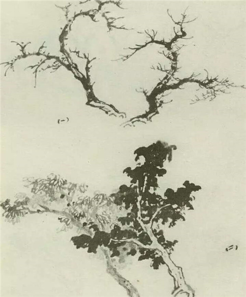 两棵树的画法