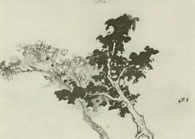 两棵树的画法