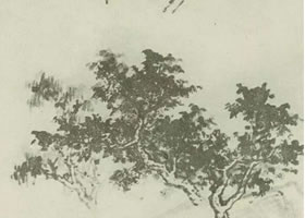 三颗树的国画画法