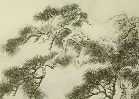 松树的画法