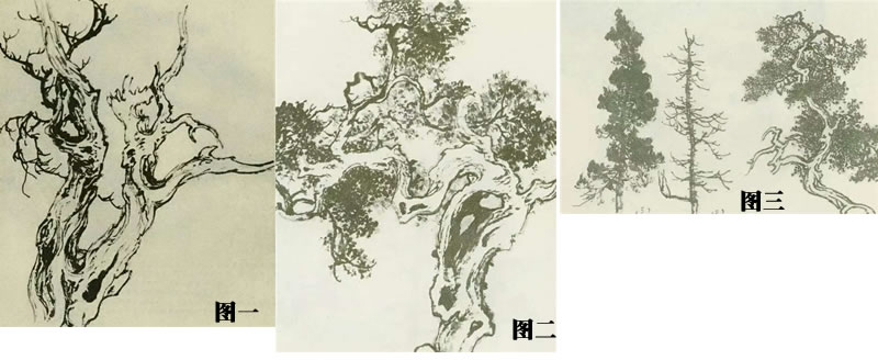 柏树的画法