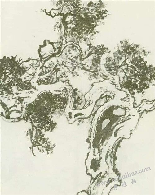 柏树的画法 图二
