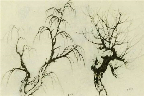 柳树的画法