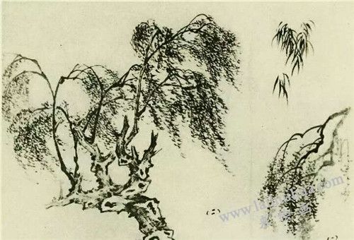 柳树的画法