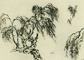柳树的画法