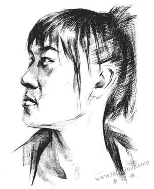 素描二分之一侧面顺光女青年肖像画法步骤 四