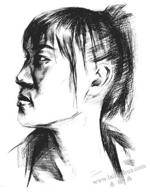 素描二分之一侧面顺光女青年肖像画法步骤 五