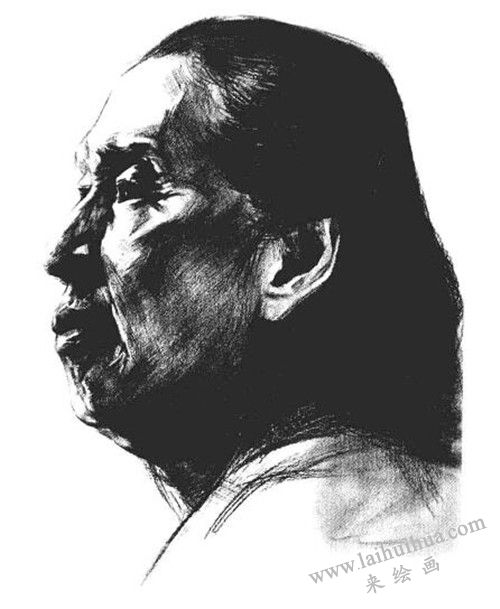 素描全侧面老年女子肖像  步骤八
