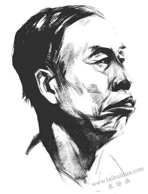 素描老年男子肖像  步骤四
