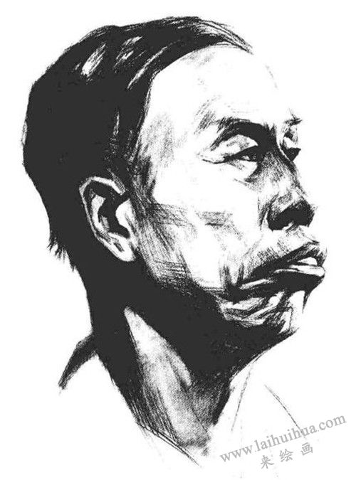 素描老年男子肖像  步骤五