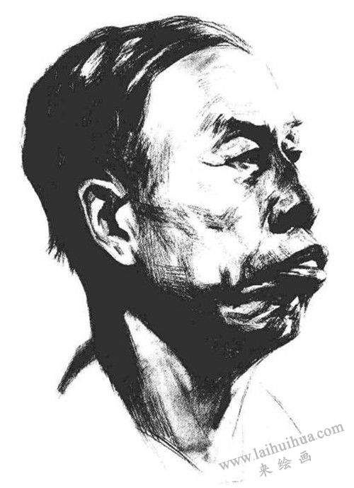 素描老年男子肖像  步骤六