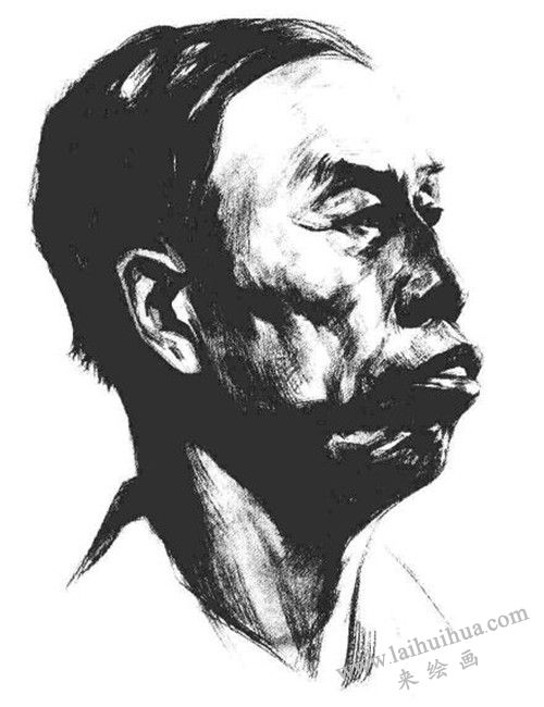 素描老年男子肖像  步骤七
