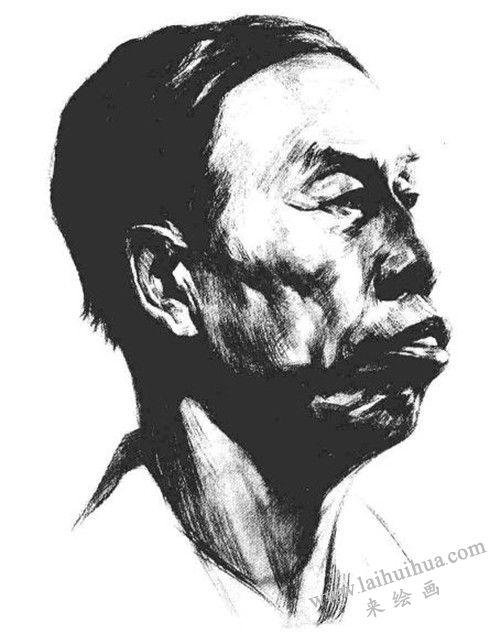 素描老年男子肖像  步骤八
