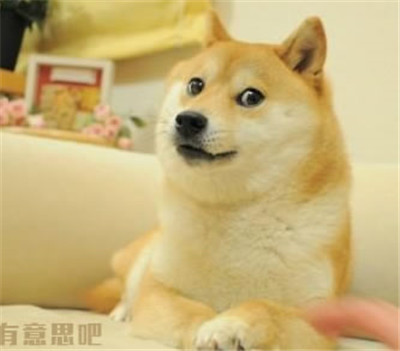 Doge简笔画