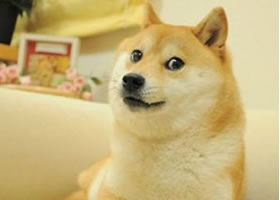 Doge简笔画