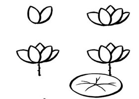 荷花简笔画