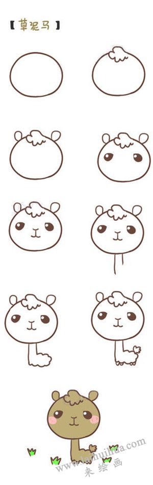草泥马简笔画画法步骤
