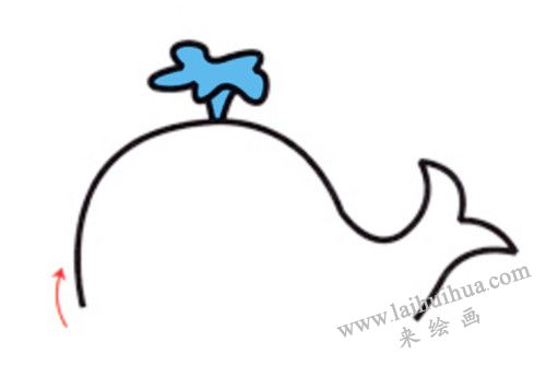 小鲸鱼简笔画画法步骤 03