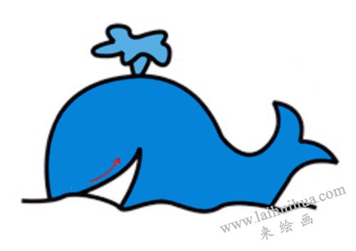 小鲸鱼简笔画画法步骤 05