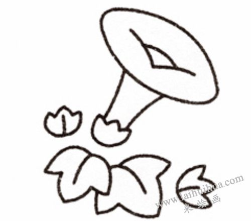 牵牛花简笔画画法步骤 04