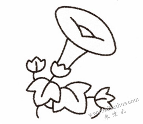 牵牛花简笔画画法步骤  05