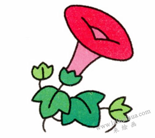 牵牛花简笔画画法步骤 06