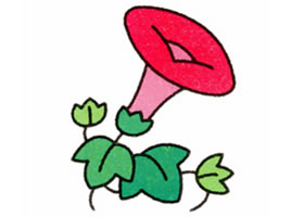 牵牛花简笔画