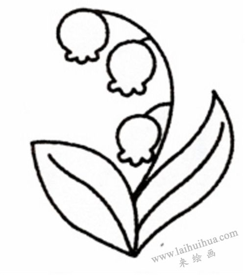 铃兰简笔画画法步骤  05