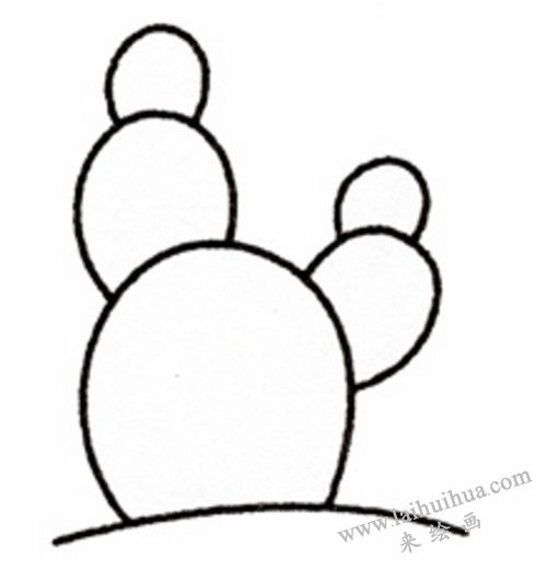 仙人掌简笔画画法步骤 04
