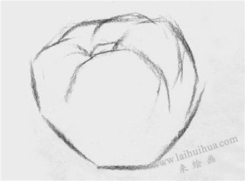 西红柿素描画法步骤 二